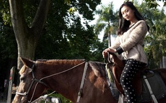 青青草在在观免费1